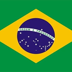 Mudar para português brasileiro